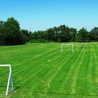 playing field
