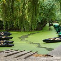 Marais Poitevin